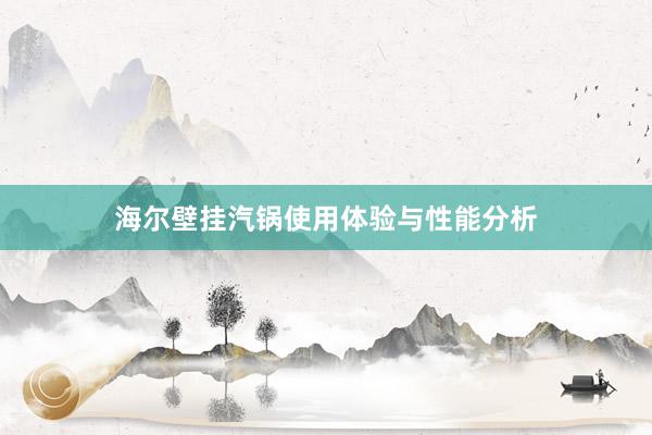 海尔壁挂汽锅使用体验与性能分析