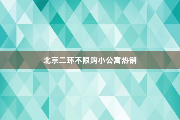 北京二环不限购小公寓热销
